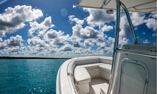 Private 28 feet boat  Natural Pool SAONA or Catalina Island