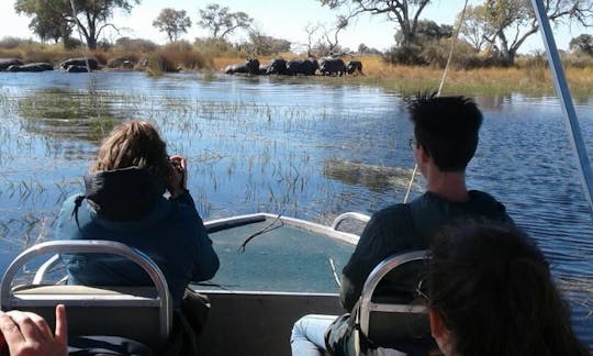 Okavango Delta