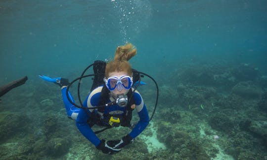 Amazing Scuba Diving Tours with Professional Guides in Bali, Indonesia