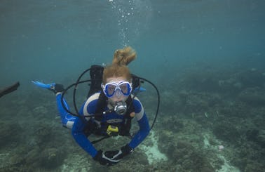 Amazing Scuba Diving Tours with Professional Guides in Bali, Indonesia