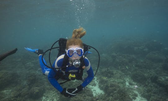 Amazing Scuba Diving Tours with Professional Guides in Bali, Indonesia