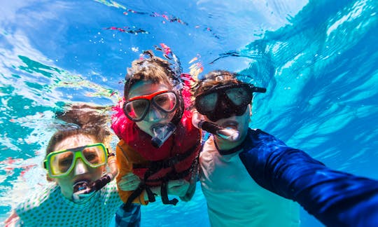 All brank new snorkel gear are included for family fun time.