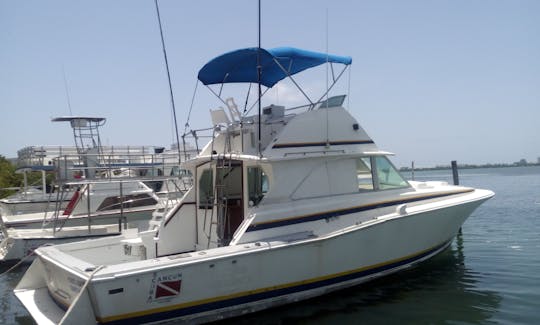 Private Fishing Charter  for 6 People With Experienced Captain in Cancún, Mexico