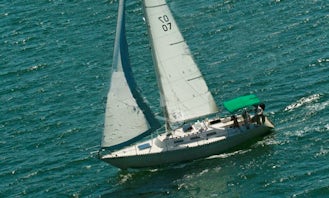 Sailing in Miami - Key Biscayne. Boat, Capitan & Water Sports