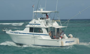 8 Hour Fishing Trip -  42' Bertram Fishing Charter in Punta Cana, La Altagracia