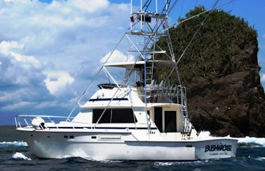 Fishing Charter on 42' Bertram in Flamingo, Costa Rica