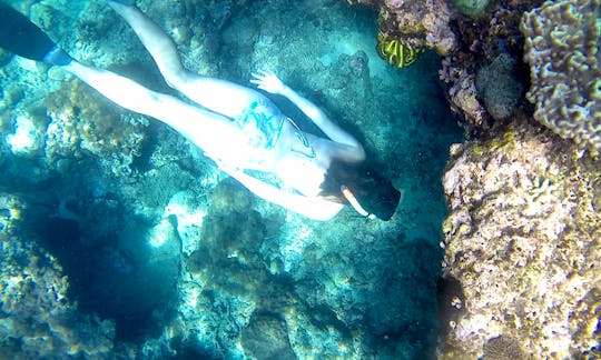 Book the Snorkeling Trip in Kecamatan Karangasem, Bali