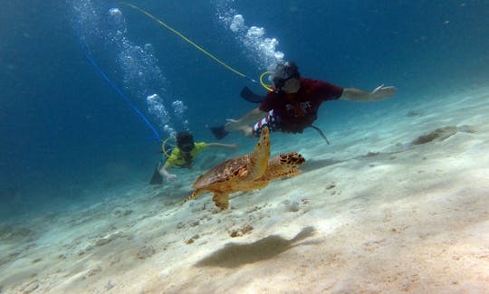 SNUBA Shore Dive com guia profissional em St. Thomas, EUA