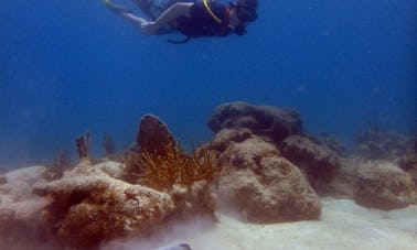 Mergulho guiado em terra com SNUBA em St. John, USVI