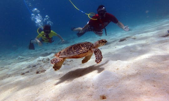 Guided Shore Dive with SNUBA in St. John, USVI