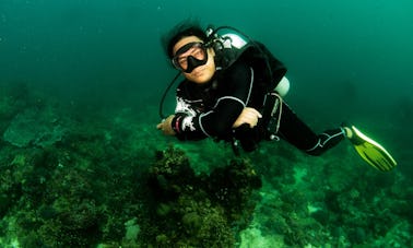 Cours de plongée sous-marine haut de gamme avec des instructeurs certifiés sur l'île de Boracay, aux Philippines !