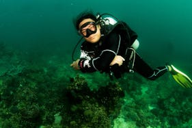 High End Scuba Diving Courses with Certified Instructors in Boracay Island, Philippines!