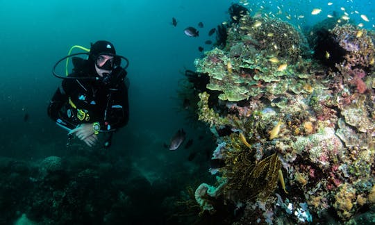 High End Scuba Diving Courses with Certified Instructors in Boracay Island, Philippines!