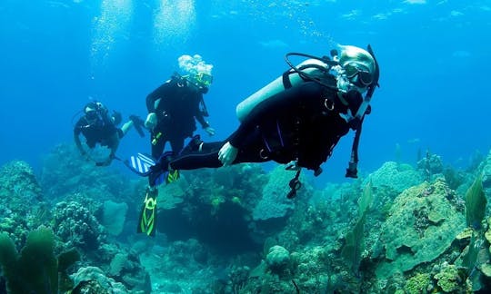 ¡Increíble y divertida experiencia de buceo en Bali, Indonesia!