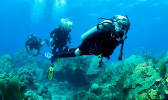 Amazing Fun Dive Experience in Bali, Indonesia!
