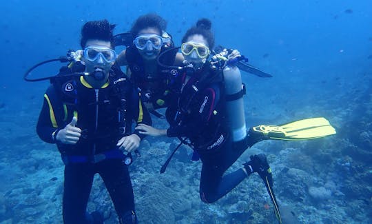 Discover Scuba Diving Experience