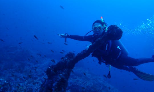 Drift diving is very popular in Puerto Galera