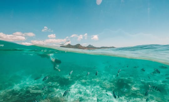 Snorkeling in the lagoon