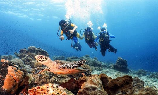 Scuba Diving Trips on Famous Bali, Indonesia Dive Sites!