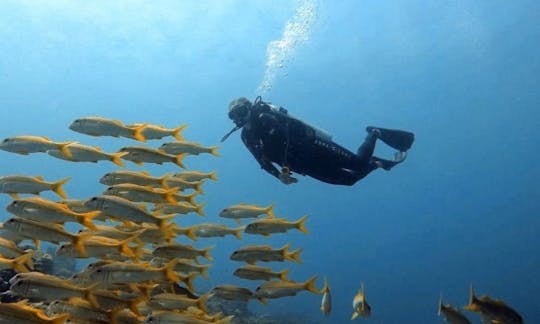 Discover Scuba Diving