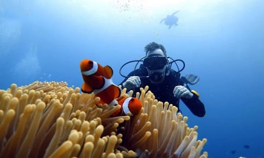 Discover Scuba Diving