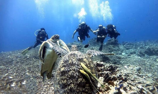 Discover Scuba Diving