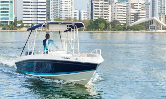29ft Center Console with 115 Hp for Exploring Cartegena!!