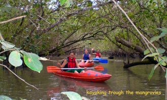 KAYAKING TO THE MANGROVES GUIDED TOUR