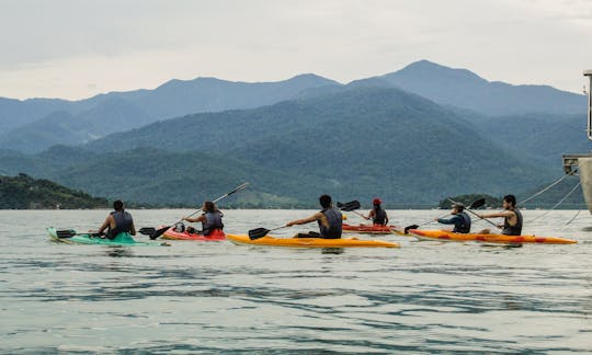 KAYAKING TO THE MANGROVES GUIDED TOUR