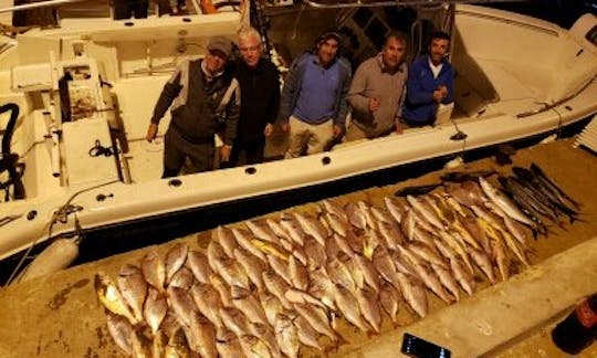 Profitez de la pêche à Punta del Este, en Uruguay, sur la console centrale