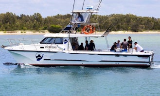 Fishing Charters in Port Macquarie on board 12m Cougar Cat, Australia