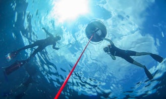 2 Days Free Diver Course in Koh Tao, Suratthani