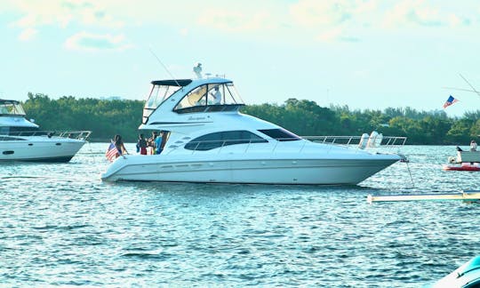 Charter 46' Sea Ray Luxury Sedan Bridge Motor Yacht