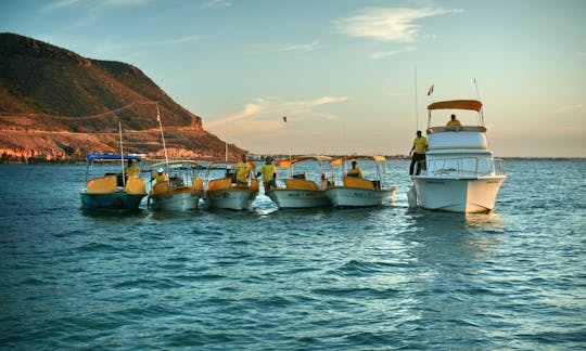 28' Cabin Cruiser Charter in La Paz, Mexico