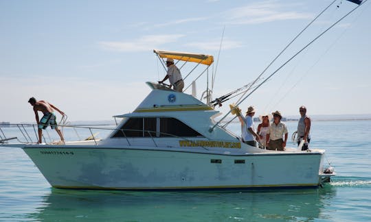 28' Cabin Cruiser Charter in La Paz, Mexico