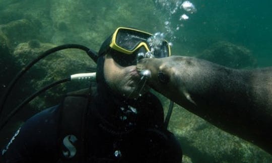 Scuba Diving in La Paz, Baja California Sur