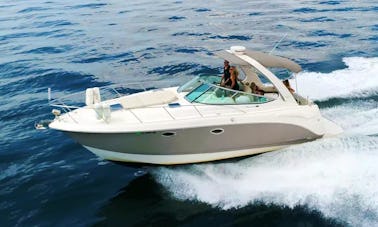 ¡Venga a navegar con nosotros en Pompano Beach en Chaparral 310 por solo 295 dólares la hora!