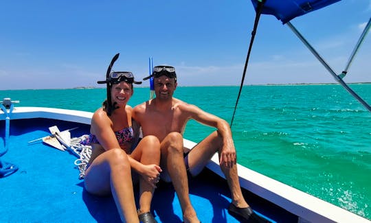 3 Islands snorkel and bird watching with rays and turtles