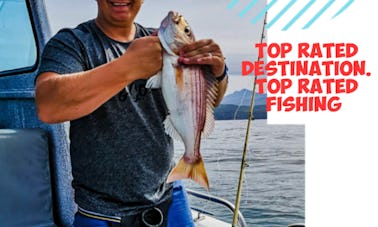 Charter de pesca en alta mar en la bahía de Plettenberg: destino mejor valorado