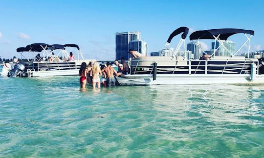 Sandbar Party Pontoon Boat in Miami - Seats 10 People