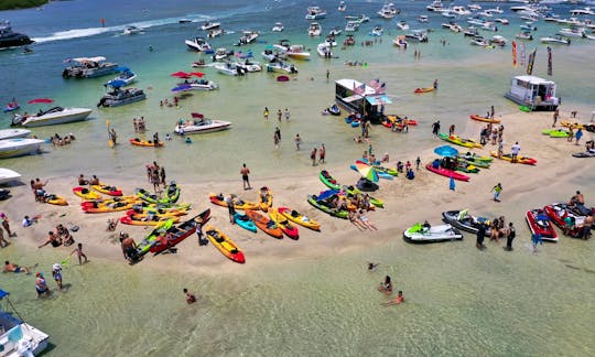 Sandbar Party Pontoon Boat in Miami - Seats 10 People