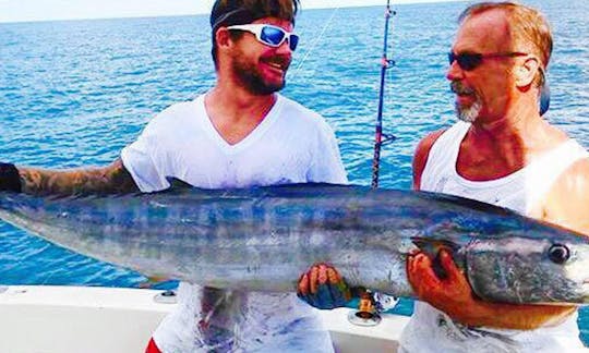 Full Day Reef + Wreck Charters - Private Charter for up to 6 People in Islamorada, Florida!