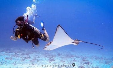 Racha Noi Yai Island 3 Dives (Discovery Scuba Diver)