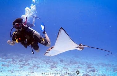 Racha Noi Yai Island 3 Dives (Discovery Scuba Diver)