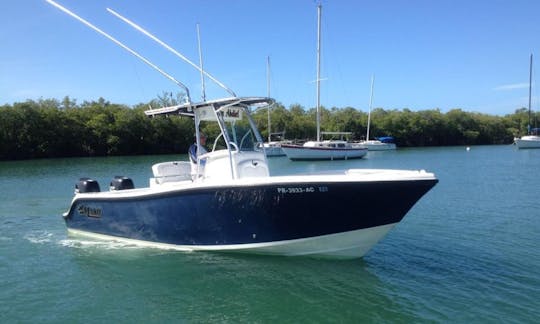 Bottom Fishing Trip onboard 23' Mako Center Console in Lajas, Puerto Rico