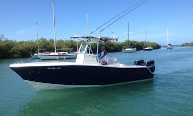 ¡Viaje de pesca en alta mar para 4 personas en Lajas, Puerto Rico!