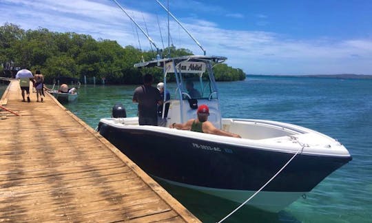 4-Hours Tarpon Fishing Trip for 2 People in Lajas, Puerto Rico!