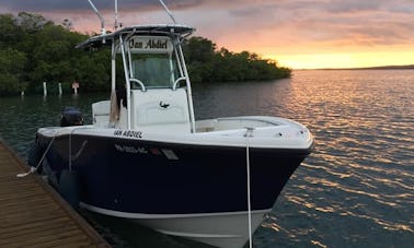 Viagem de pesca de tarpão de 4 horas para 2 pessoas em Lajas, Porto Rico!