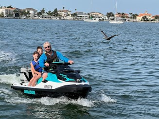 PASSEIO DE GOLFINHOS EM CLEARWATER JETSKI PARA 3 PASSAGEIROS, ILHA DE LUA DE MEL, ESQUI RÁPIDO BLUETOOTH