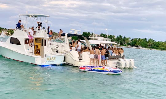 41' Sea Ray Motor Yacht Charter in Miami, Florida 